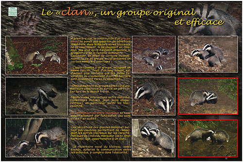 Expo Montier en Der