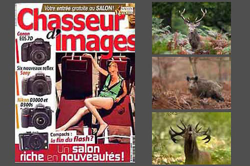 Chasseur d'Images n317