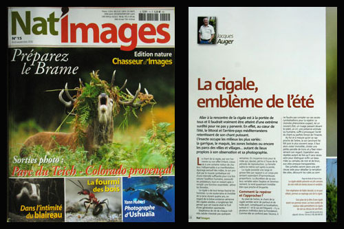 Nat'Images n15