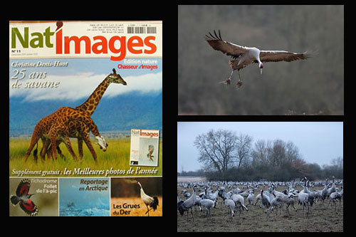 Nat'Images n11